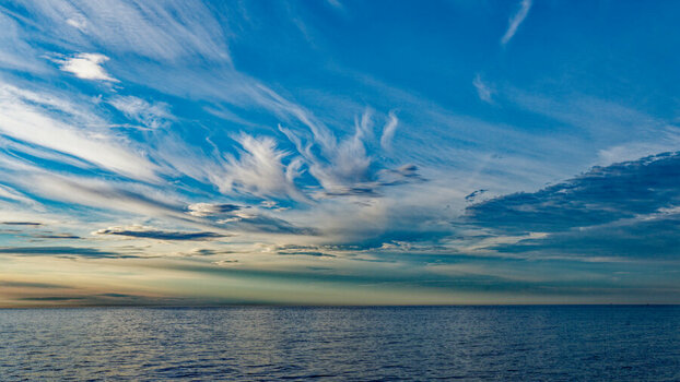DSC_8160_DxO_DxO.jpg
