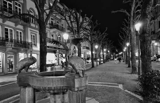 DSC_1055_2.jpg