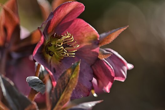 DSC_3430.F.jpg