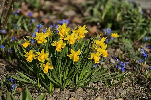 DSC_3433.F.jpg