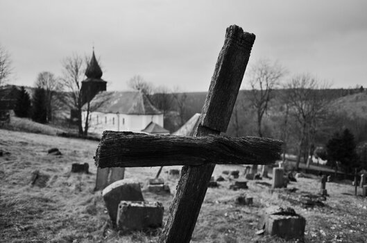 DSC_3209_00001_02n.jpg