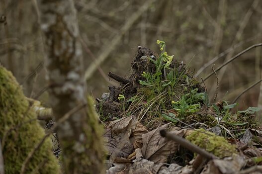 DSC_3470.jpg