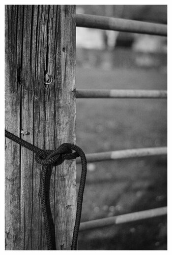 xAm Stall D300s (1 von 2).jpg
