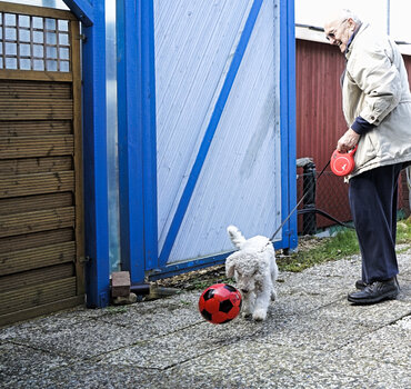 Pepper will nicht Gassi....jpg