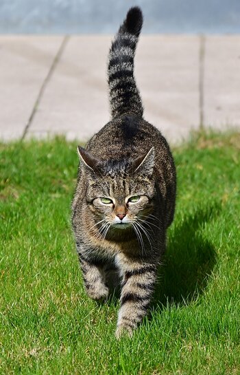 DSC_5662_a_k.jpg