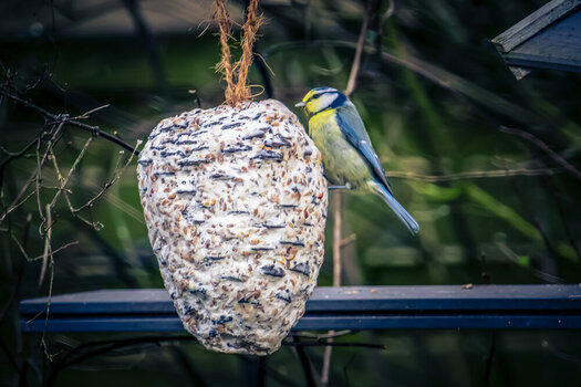 DSC_576501.jpg