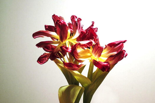 240307_ST_0004_low.jpg