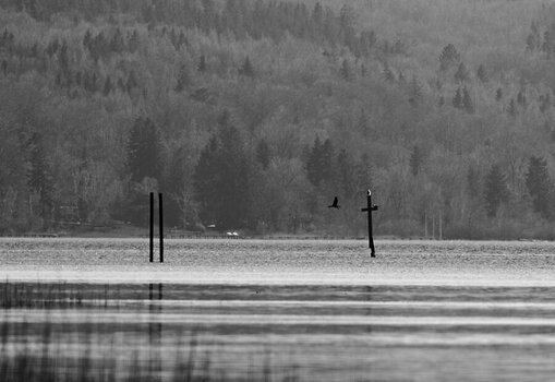 DSC_7969_01.JPG