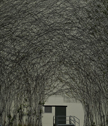HSC_3567_01.JPG