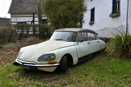 DSC_0003.JPG DSC_0003.JPG