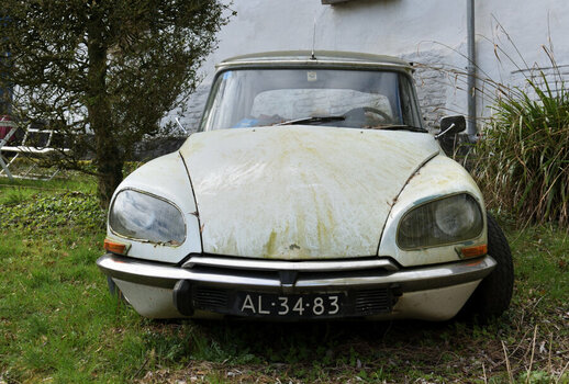 DSC_0006.JPG DSC_0006.JPG