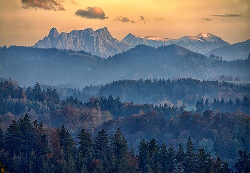 DSC_4830.F.jpg