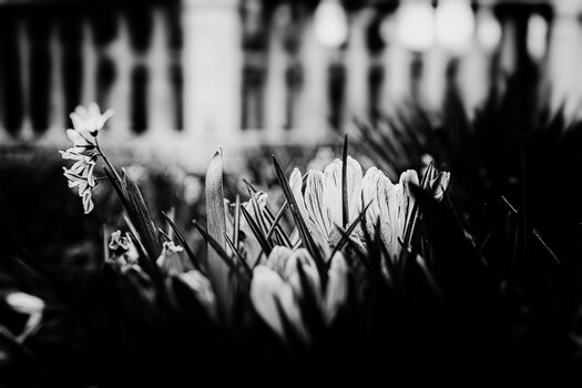 750_8178_DxO-Bearbeitet-Bearbeitet-Bearbeitet.jpg