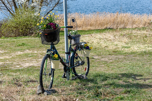 750_8194_DxO.jpg