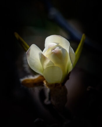 750_8349_DxO.jpg