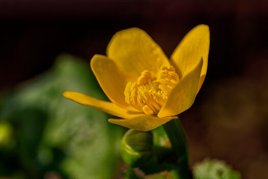 750_8309_DxO-Bearbeitet.jpg