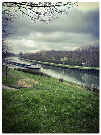IMG_6593.jpeg