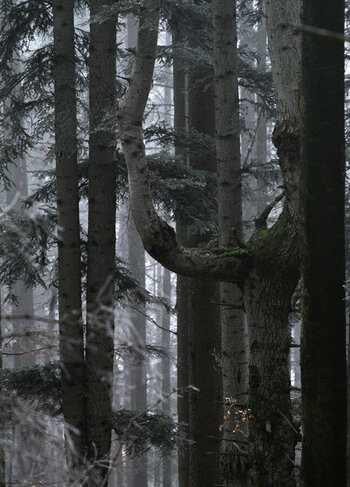 DSC_1196_01.JPG