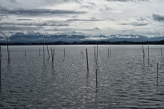 DSC_0853.F.jpg