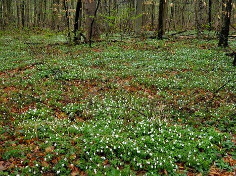 2024-04-02_10-14-31.jpg