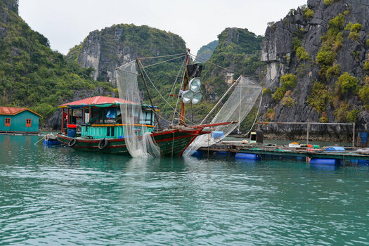 DSC_0614_DxO.jpg
