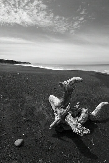 DSC_3205_01.JPG