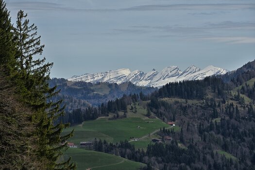 DSC_2503.F.jpg