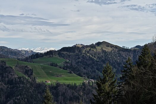 DSC_2547.F.jpg