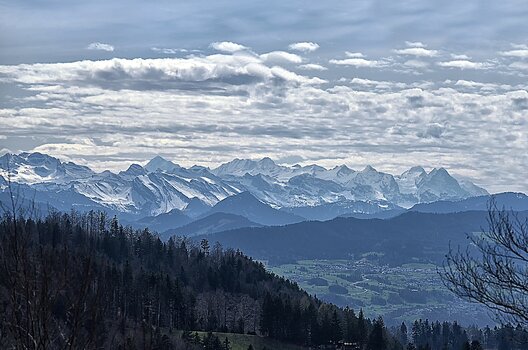 DSC_2525.F.jpg DSC_2525.F.jpg