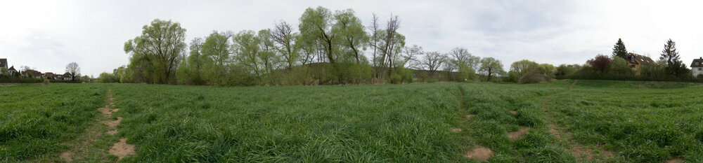 2024-04-07 Panorma Hundewiese_01.JPG