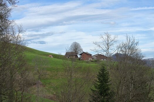 DSC_2580.F.jpg