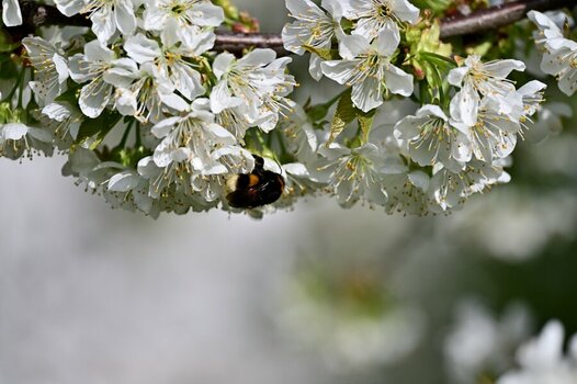Apr11__0002.JPG