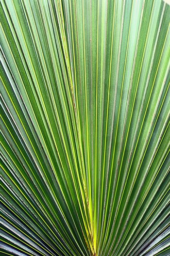 _DSC7746.F.jpg