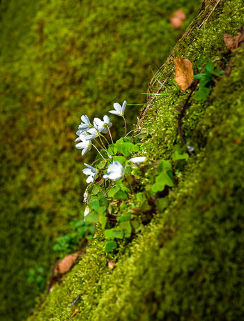 750_8730_DxO.jpg