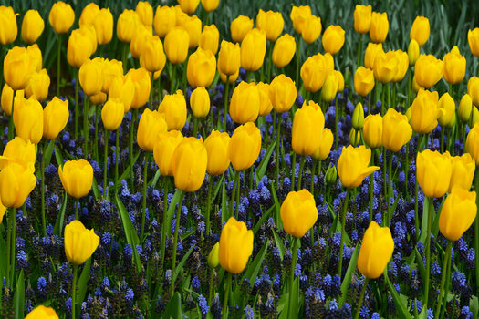 DSC_7298_DxO.jpg