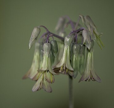 DSC_3824.F.jpg