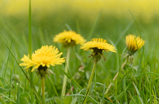 750_8626_DxO.jpg