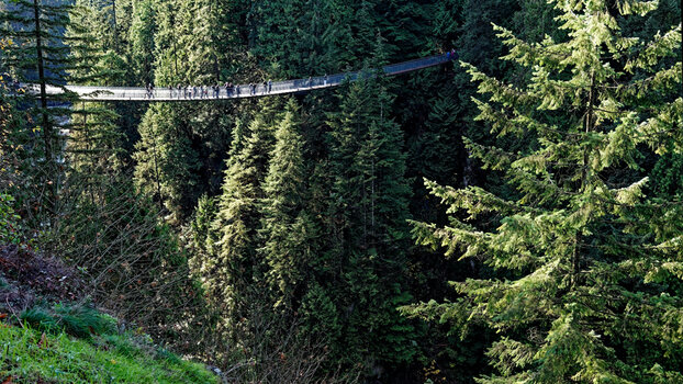 CAN_Vancouver_Capilano-Suspension-Bridge-(02)_DxO.jpg