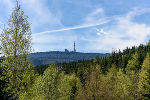 750_8778_DxO.jpg