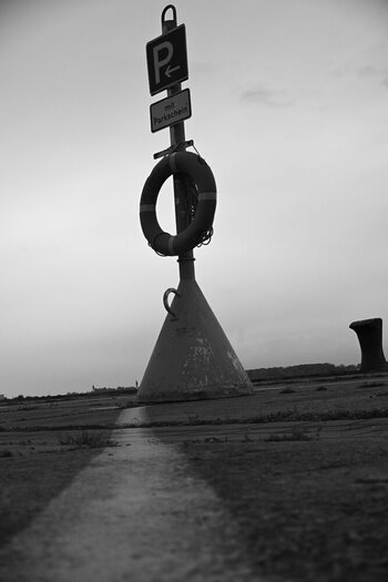 DSC_135601.jpg