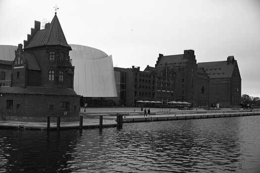 DSC_138101.jpg