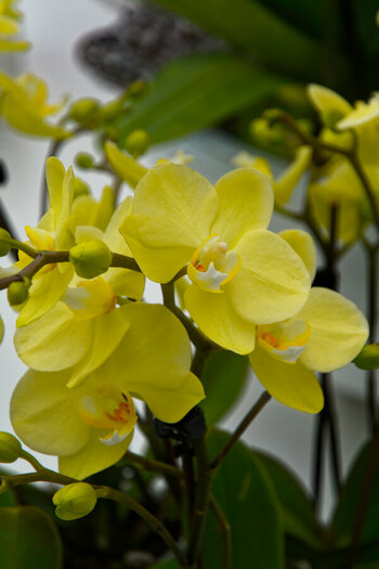 DSC_7380_DxO.jpg