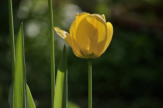 DSC_3744.F.jpg