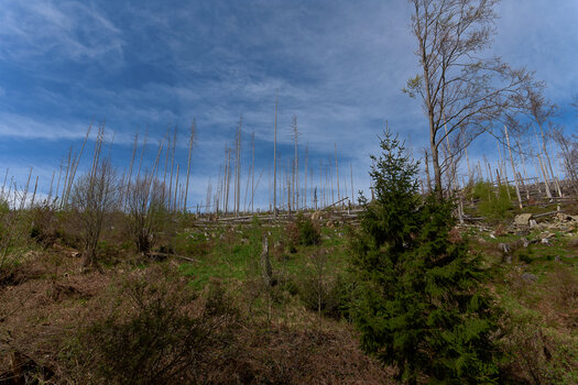 750_8758_DxO.jpg