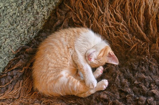 DSC_8920.F.jpg
