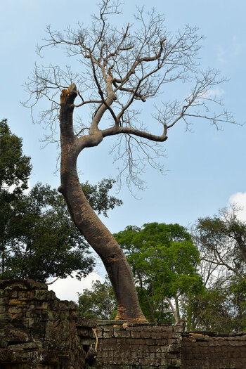 DSC_6232_DxO.jpg