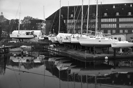 DSC_132201.jpg