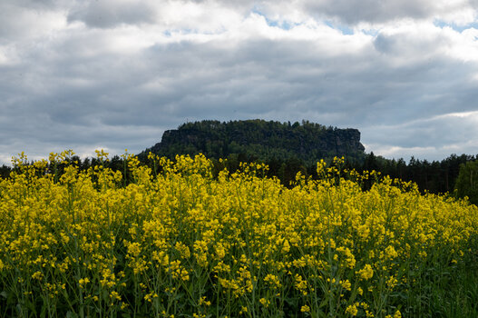 DSC_0378 (1).jpg