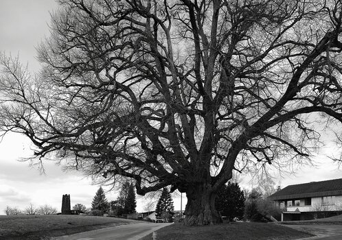 DSC_4511.F.jpg