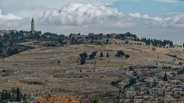 DSC_3842_DxO_DxO.jpg